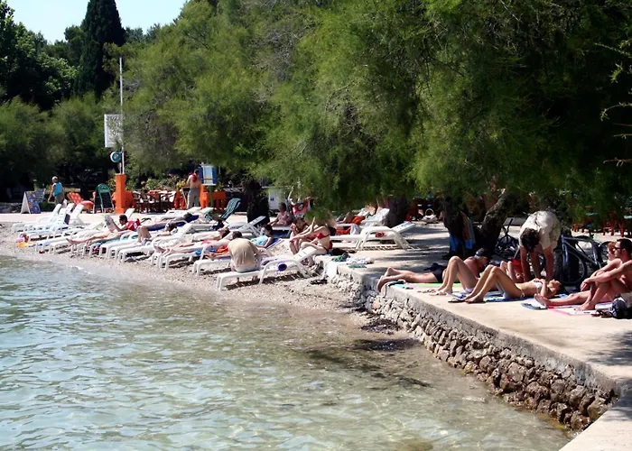 Family Friendly With A Swimming Pool - 4235 Appartement